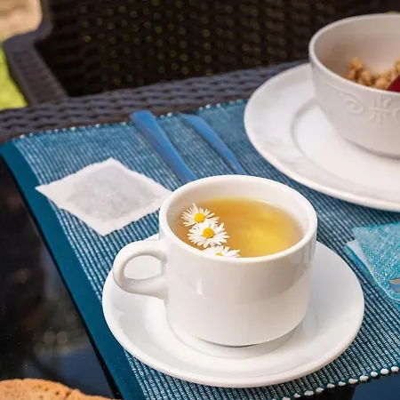 Sea View Hotell Alykes (Zakynthos)